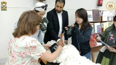 1a00eda47aa978a39bcf8c28214560a4