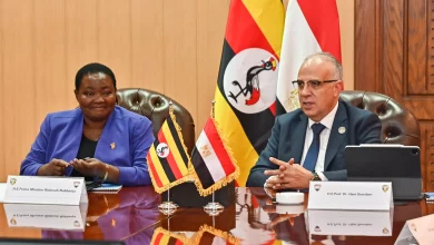 31ed823a70fb9c8ef96232f9f145847d