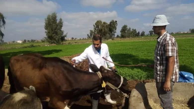 326e2d957a905512782844816fa6e769