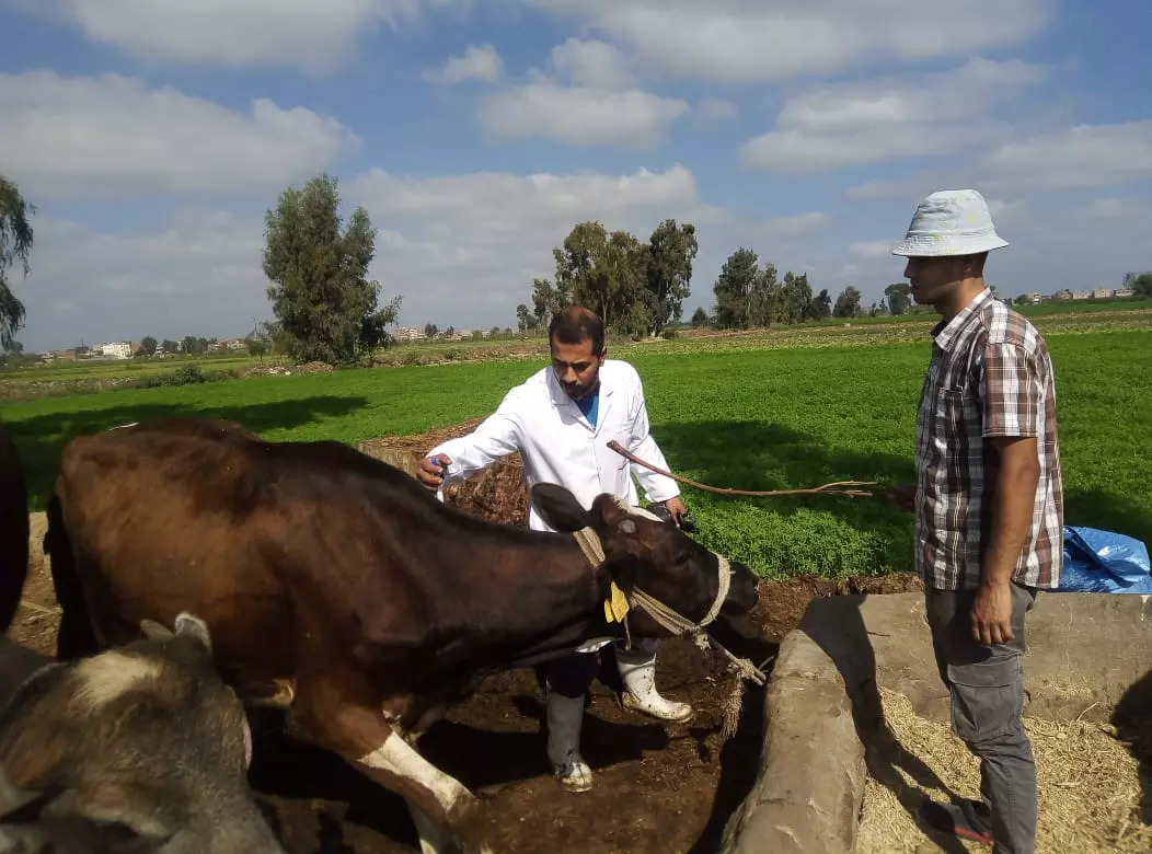 326e2d957a905512782844816fa6e769