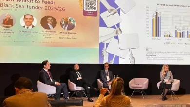 السباعي: واردات مصر من القمح تسجل 10.87 مليون طن خلال 10 أشهر