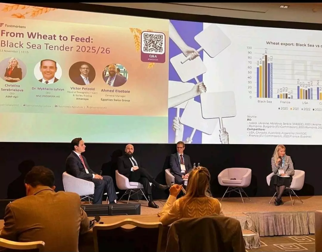 السباعي: واردات مصر من القمح تسجل 10.87 مليون طن خلال 10 أشهر