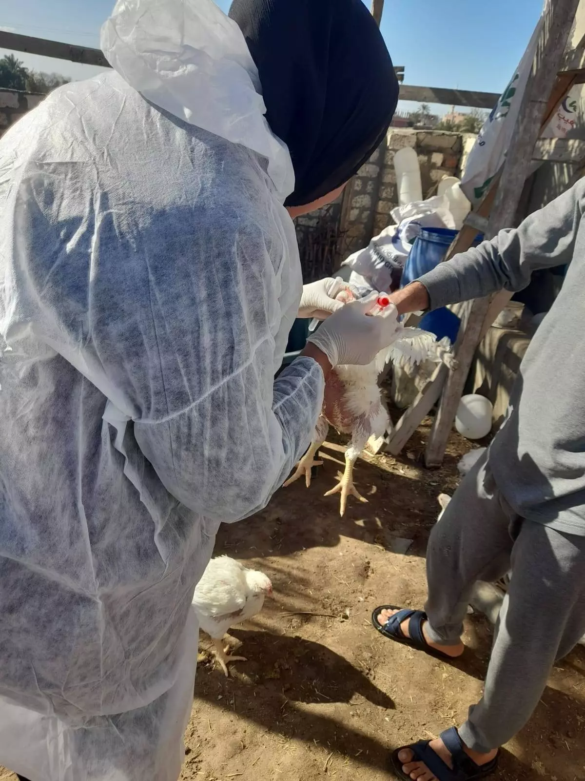 3b09b63df37d5213248c32bcf2931395