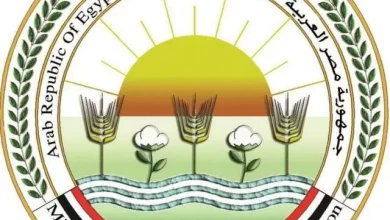 3be88b64a44cfb6ddda0c6df3060ae2a