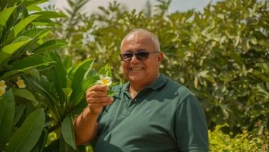 3dc8058903d021a2721552d396031da6