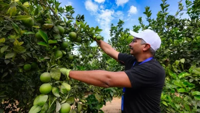 3e05d2b37a727d36e628b9274a1cfb86