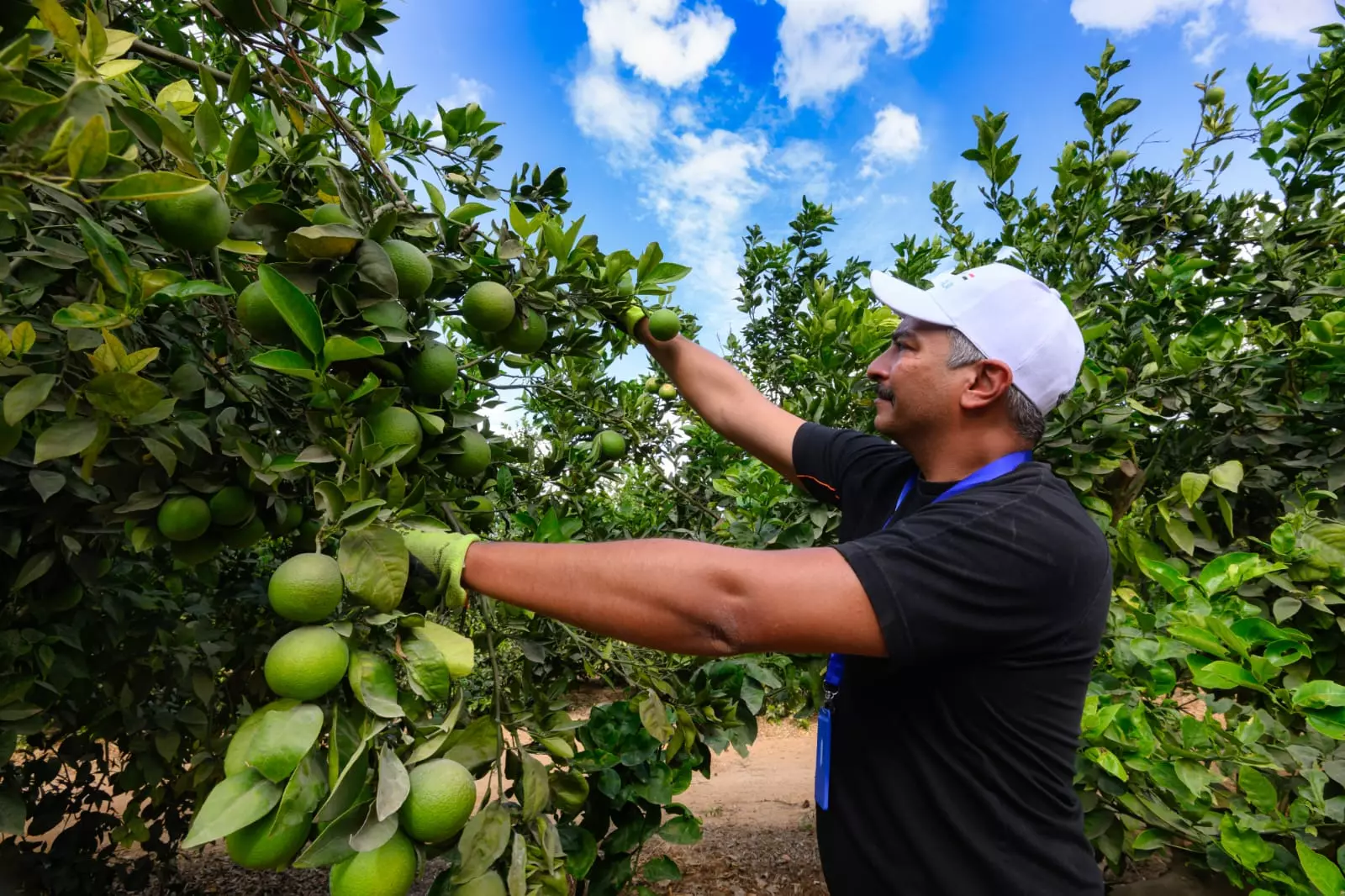 3e05d2b37a727d36e628b9274a1cfb86