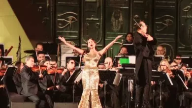 3f56db6ac342de81955f55d05fa912d1