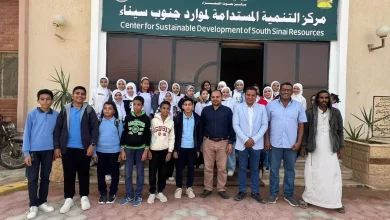 3fb4a47c28ae2c0d2c3cd49e5bea25e0