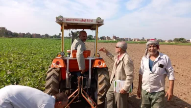 5051c1031b1585cc9a0aab2aa6bb1973