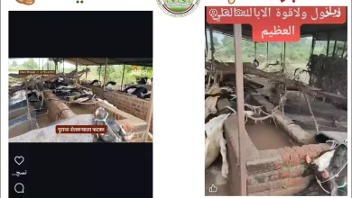 5295a671fa21bfce2069d6e24dce5c0a