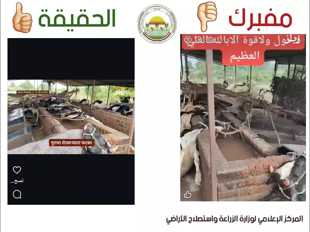 5295a671fa21bfce2069d6e24dce5c0a