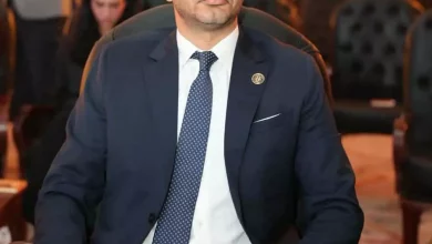 79395cd6e5aa24e0e29b2638df31d852