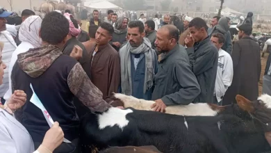 7dddb6dadc6cfed1f0a6dfcae0b48ea7