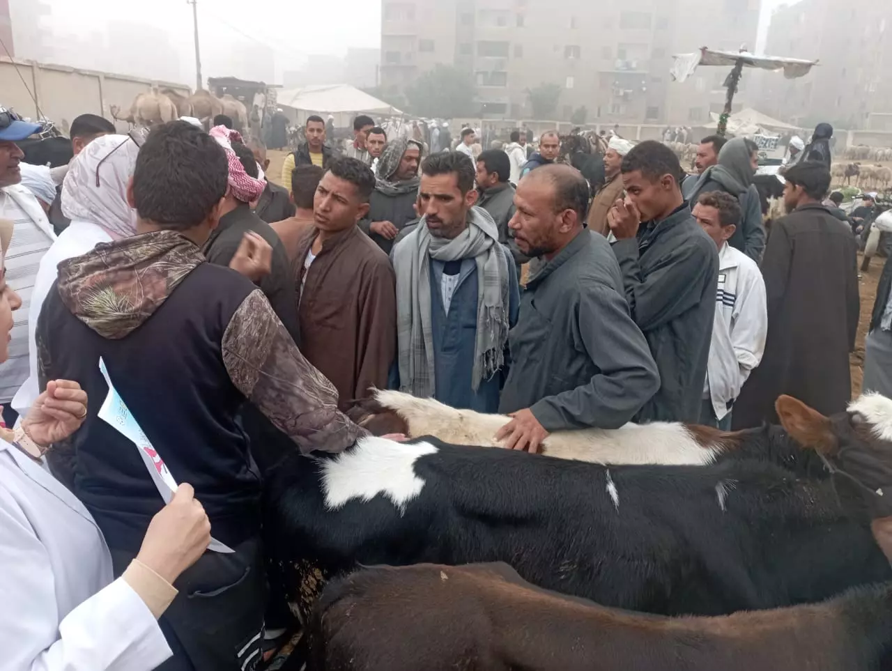 7dddb6dadc6cfed1f0a6dfcae0b48ea7