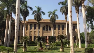 8e36024602c126672d497185c3fcff52