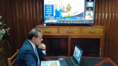 8e3e8c1f4b67a9a02554cf484671a809