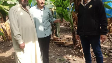 9449b7b5104bc1aa648653f159d86301