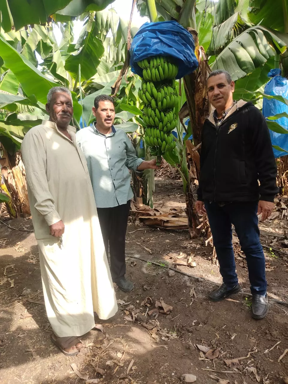 9449b7b5104bc1aa648653f159d86301