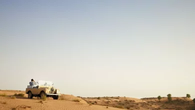 94b1ef9a3a049cec91b027f2971eba5d