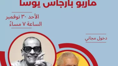 993f176a89e8a8e2a310575eedb31a0e