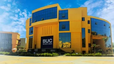 998bfbd30320023d6514443b8a1a868e