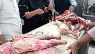 A0017ec6fff10747062406e86b368e0d