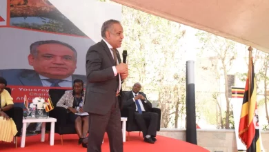 A475e85166b9863d9a8ded5b80e6fe7e