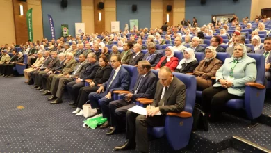 Adb02e82514904f7e1f941184638a717