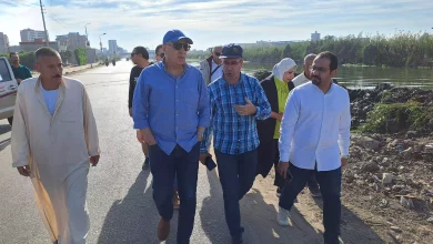 B0378e729c920a7ab0114ecaba30c2e8