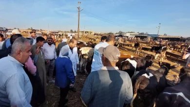 B70b5e7d0e72f230ddcbd3c3c03b9cfb