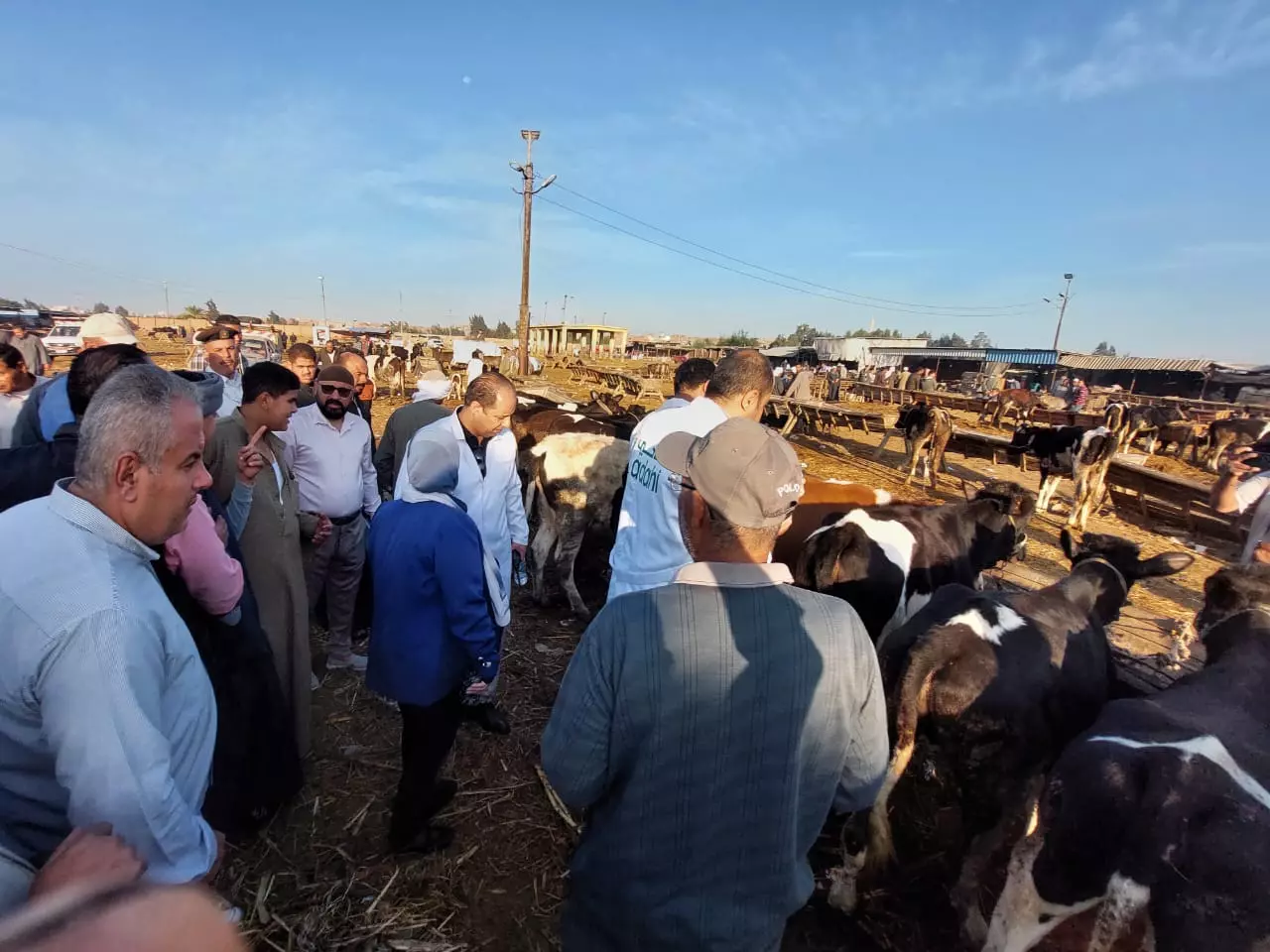 B70b5e7d0e72f230ddcbd3c3c03b9cfb