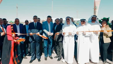 Bc998239355eff6850c032fca701db80