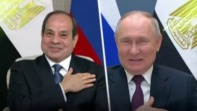 D326f9061a208dae6300f9236de59c29