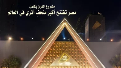 Dcadf84419594cbb401a8495a1633a89