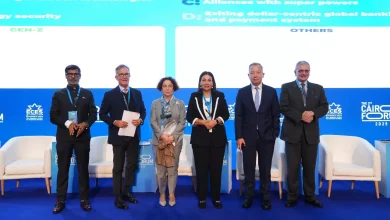 Dfb6fa1f909e254f3d41c8182a62e411