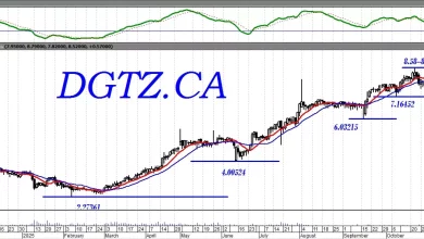 E1b62c643456f5b5e4a560fcae942e3e