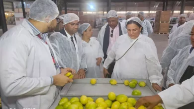 E9428787f967f4177ebf7d9db5b60e54