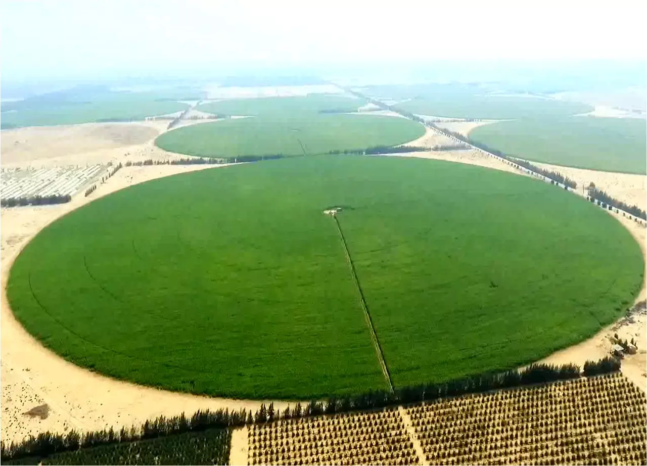 Ea05584cafacb84b4379182cc370242f