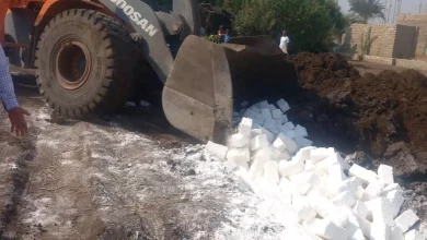 Ec2afe8266a763460f1c44d768d979b5