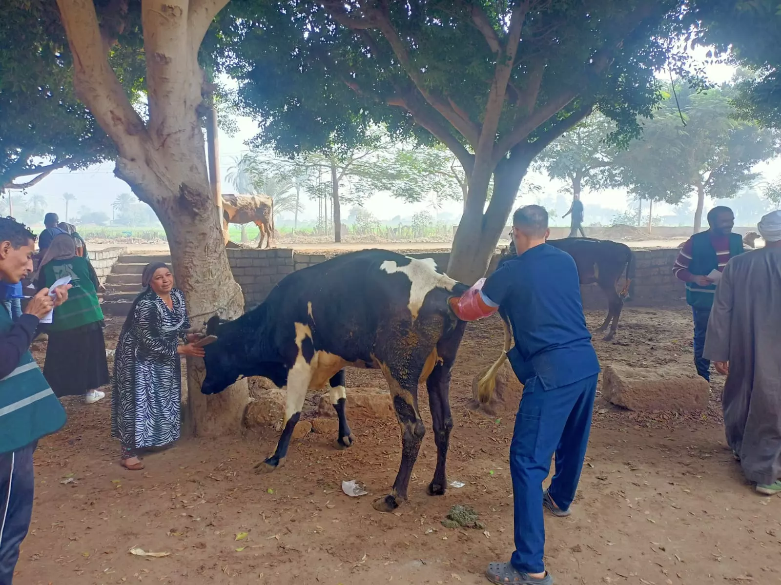 F6ae45cd23a88f8a15e252e823fc9bd5