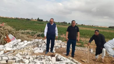 Faba36736e34f563de9fe4d5399a419a