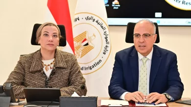 10fb296cdc584e7b6131a5093985c401