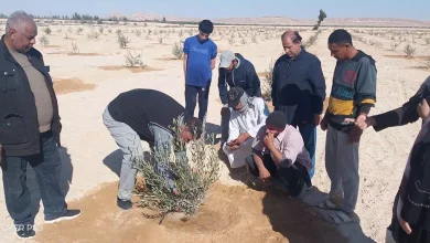 1ab4ebb45bdcea93610702a499bdf2c6