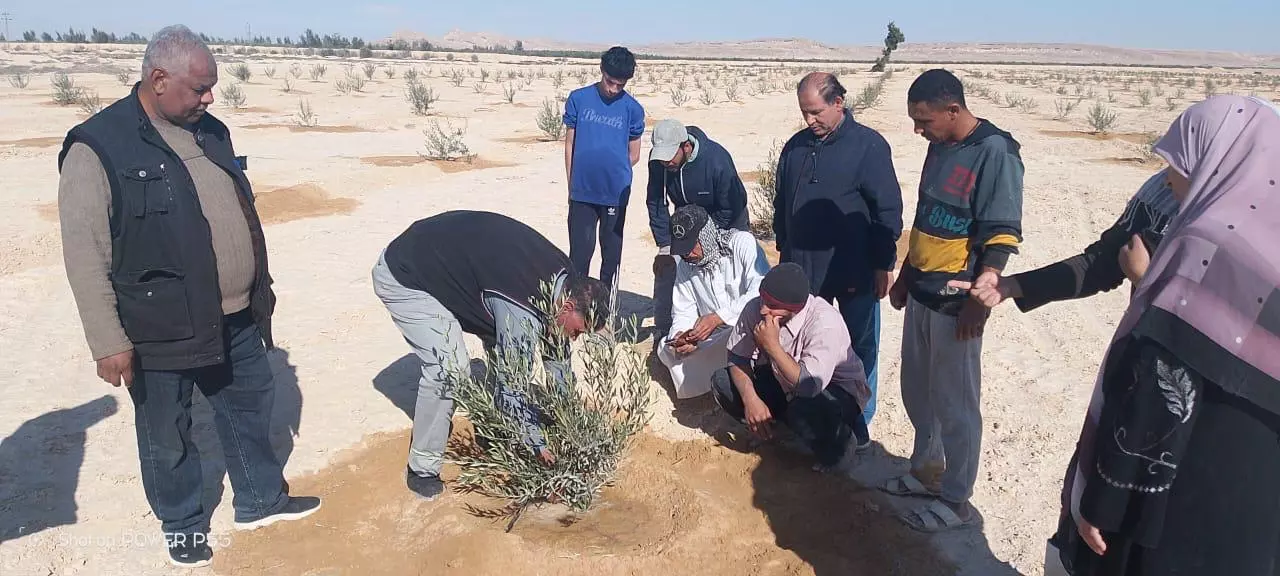 1ab4ebb45bdcea93610702a499bdf2c6