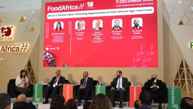 239121ff41ae4062a081d7755f0c487c