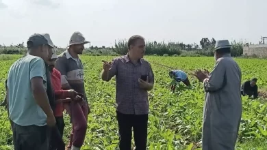 26d13d71339d467ab779d8c98075979d