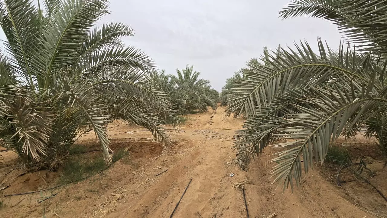 2d99b22b688f74b96987975a83ab05dd