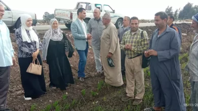 344de7bfc33f9f75ab2866e84273a2f0