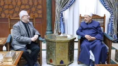 35e3df107444989f29c9000bdbafcab8